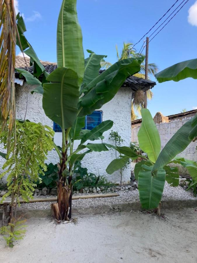 Bed and Breakfast Malaika House Paje Exterior foto